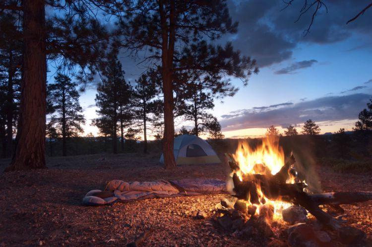 Camp set up with tent, sleeping bag and camp fire. Camp set up with tent, sleeping bag and camp fire.